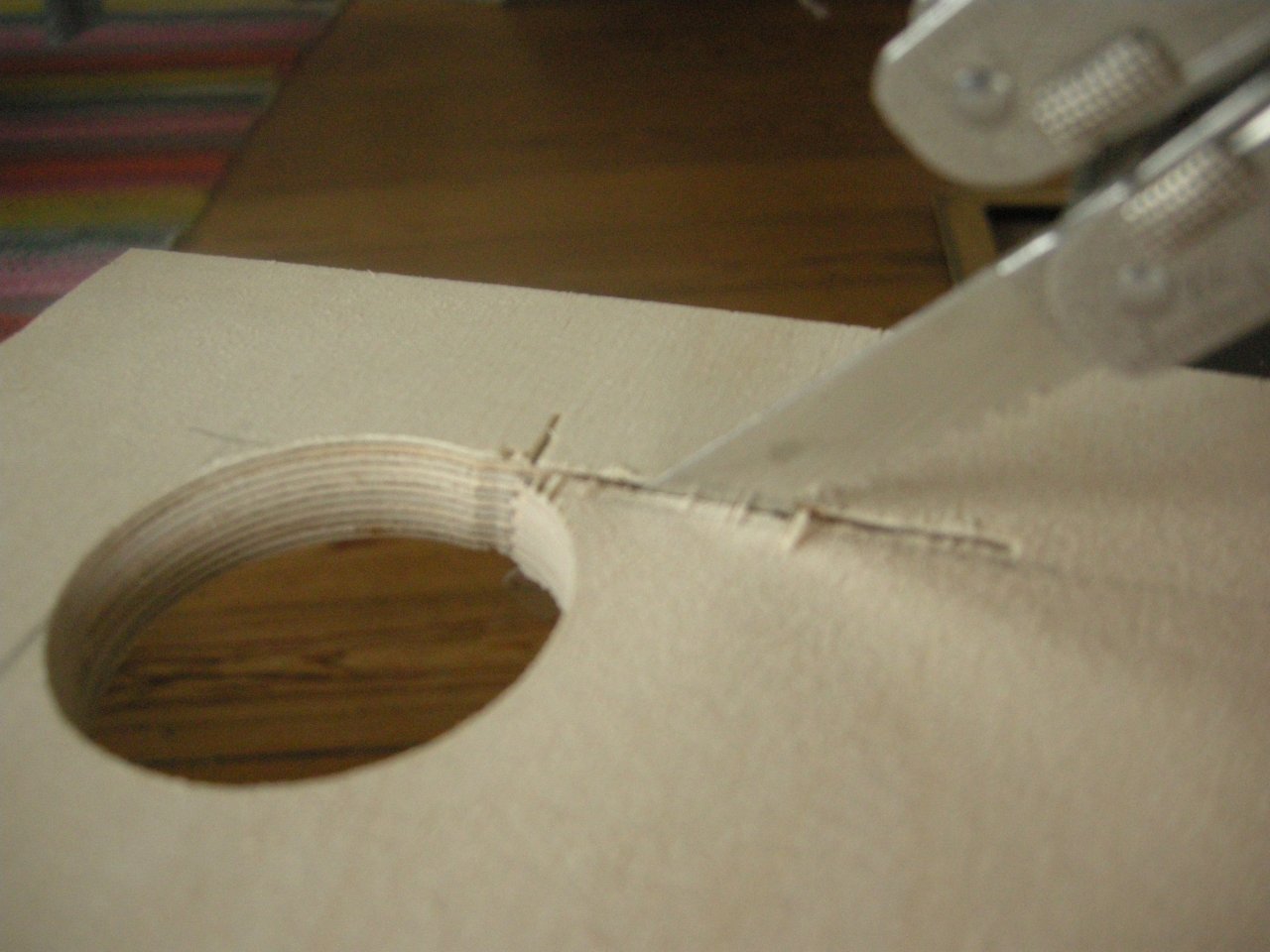 DSCN6159.JPG