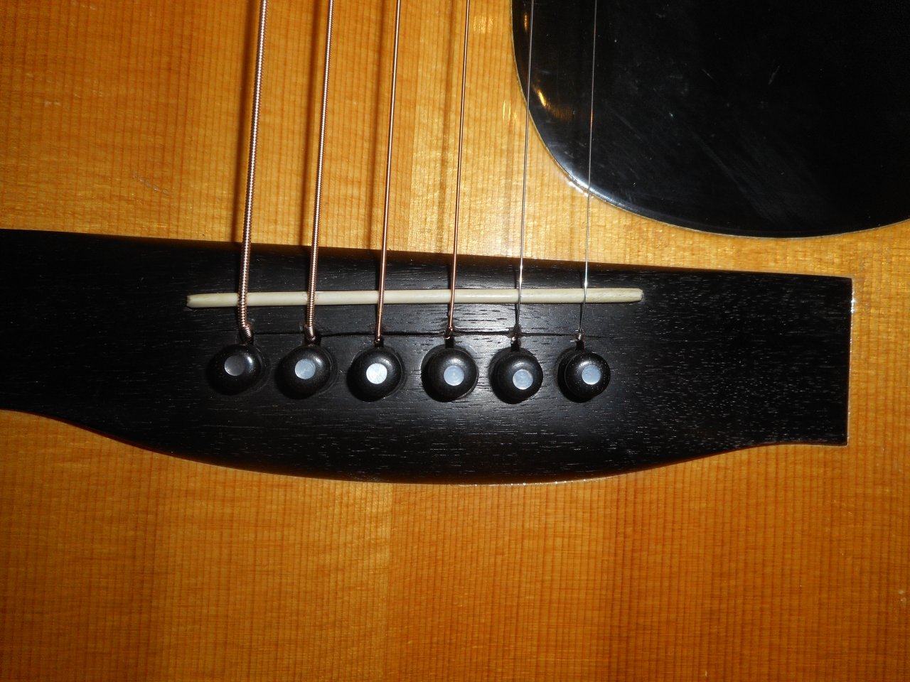 DSCN6578.JPG
