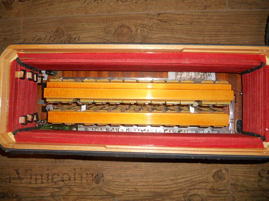 DSCN6603.JPG