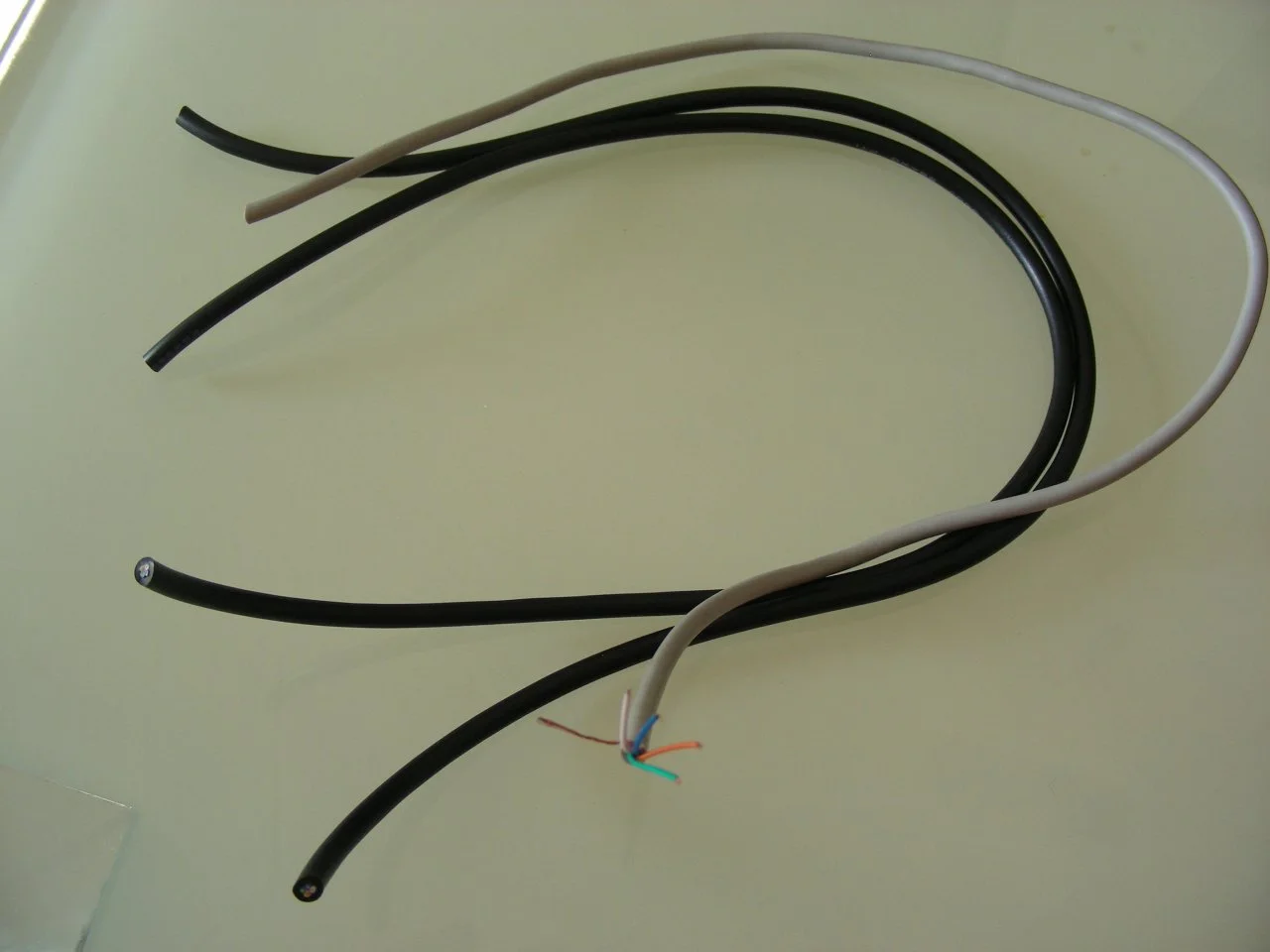 DSCN6795.webp