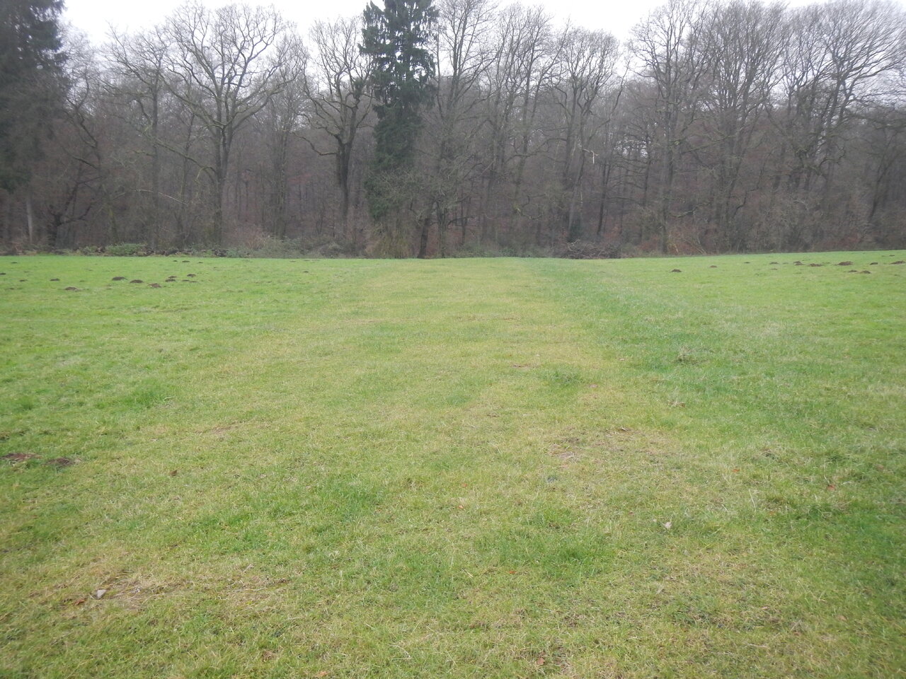 DSCN7300.JPG