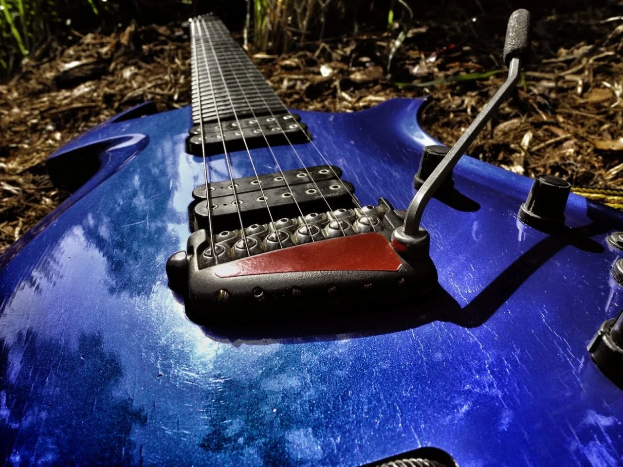 DSCN9049.webp