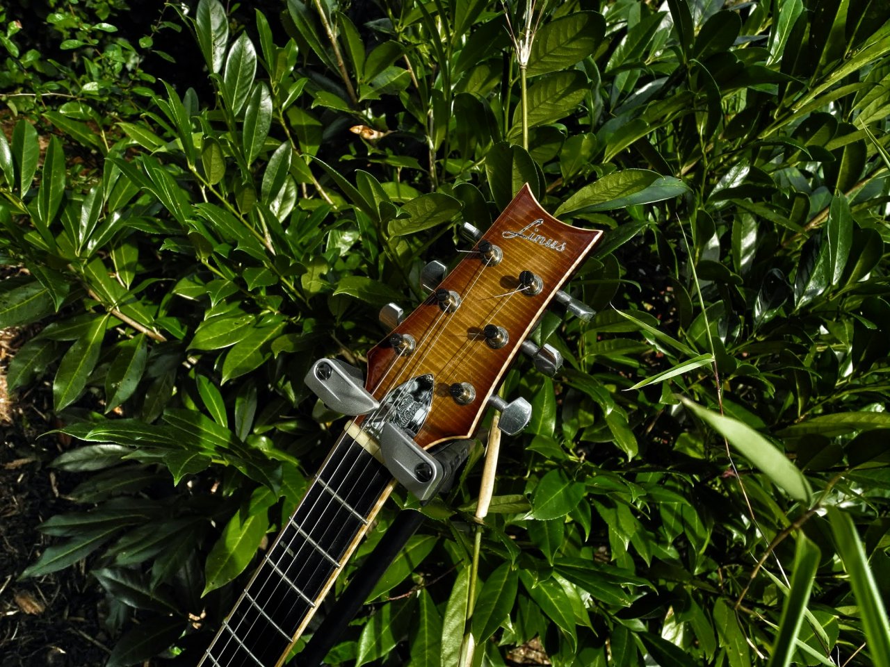 DSCN9056.JPG