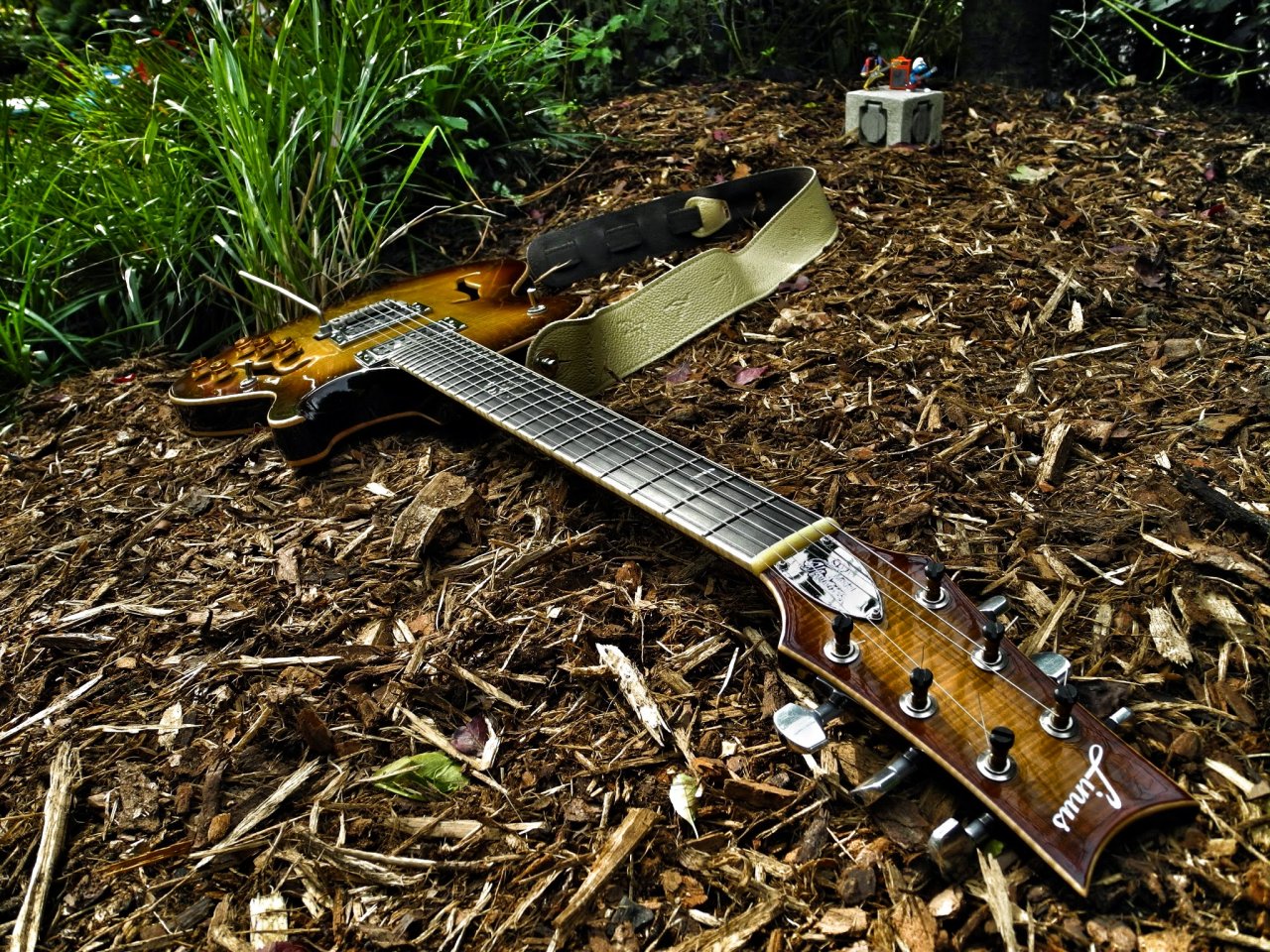 DSCN9061.JPG