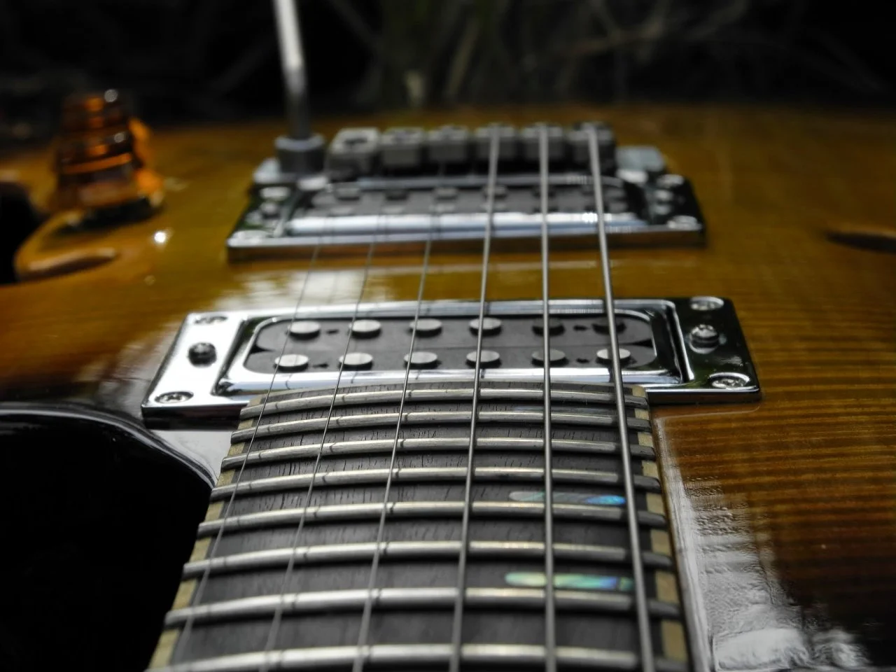 DSCN9063.webp