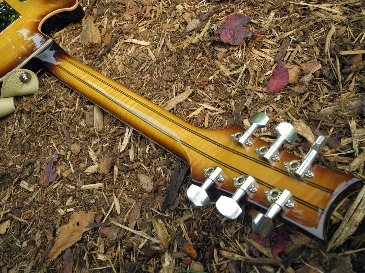 DSCN9072.JPG