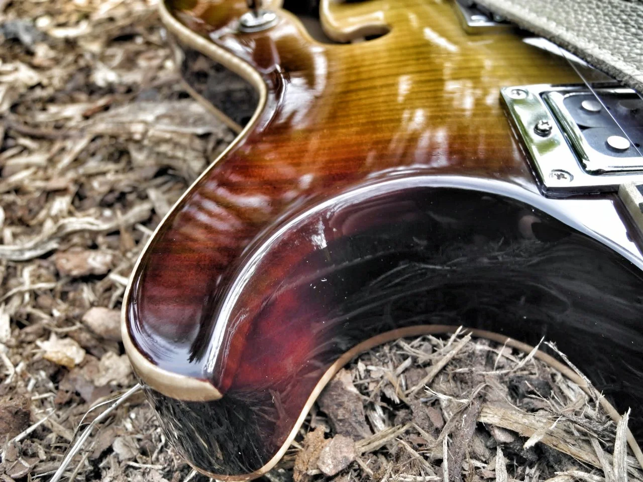 DSCN9073.webp