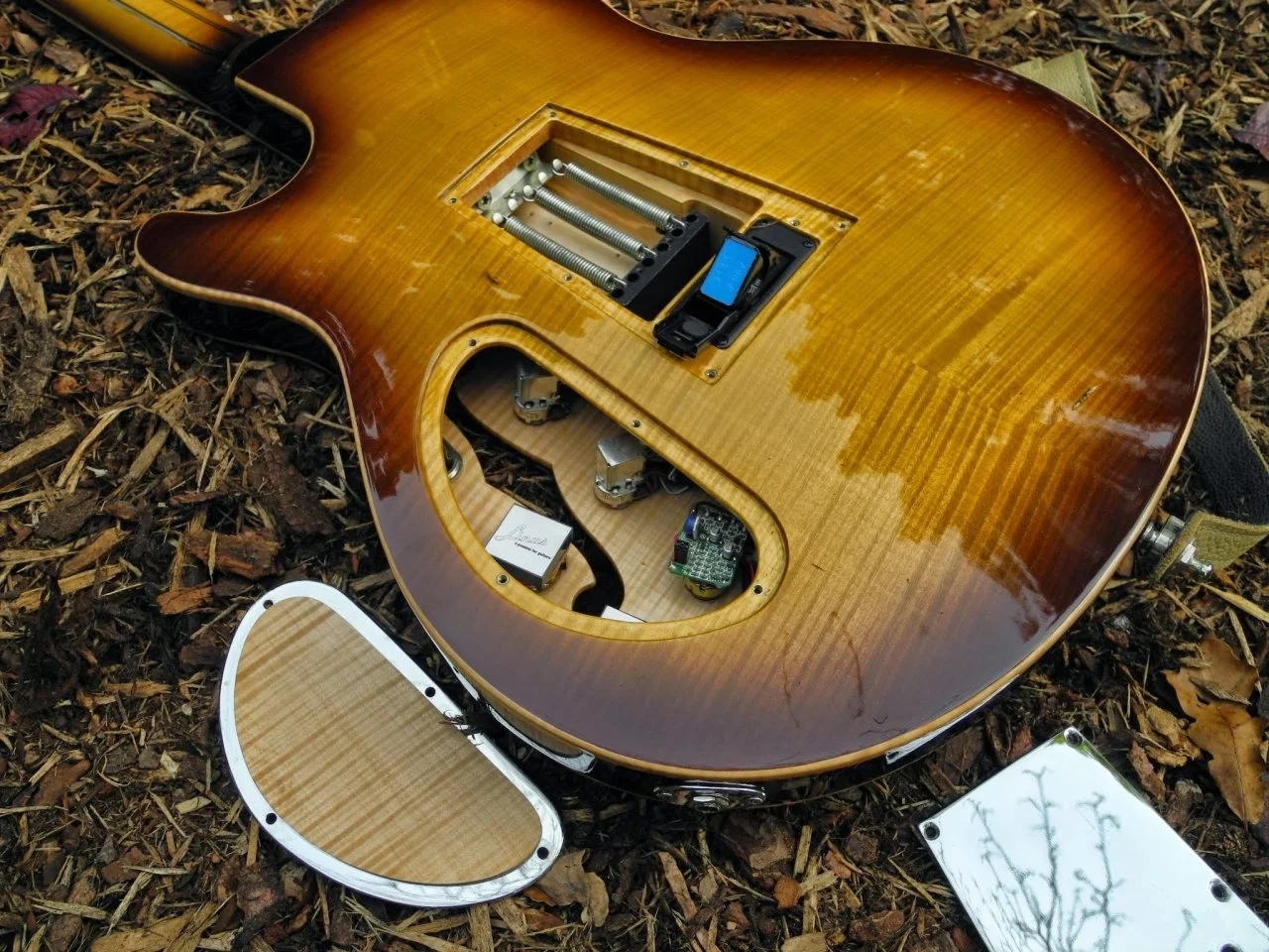 DSCN9084.webp
