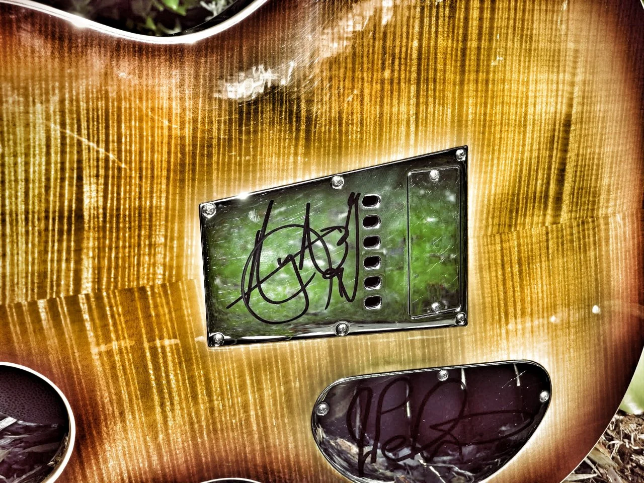 DSCN9186.webp