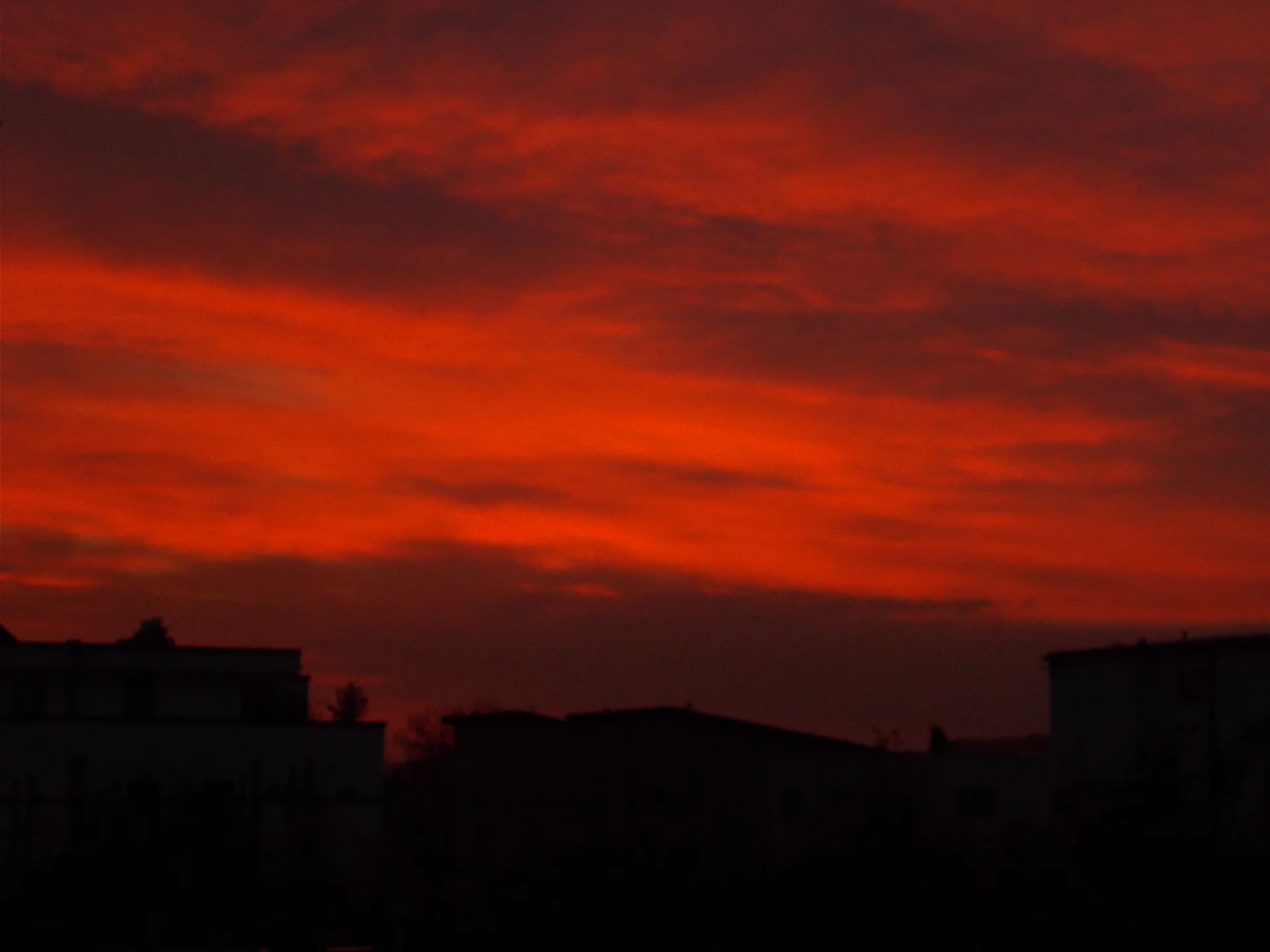 DSCN9694.webp
