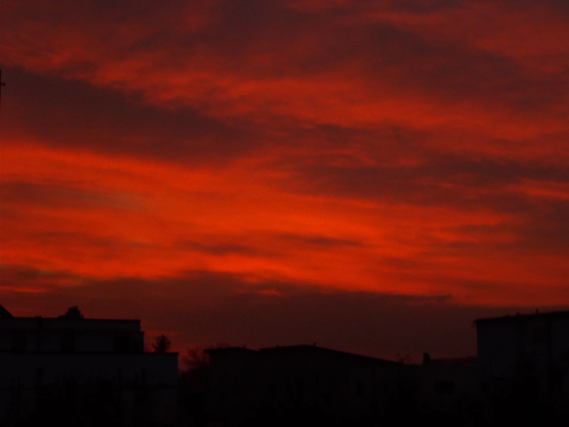 DSCN9695.webp