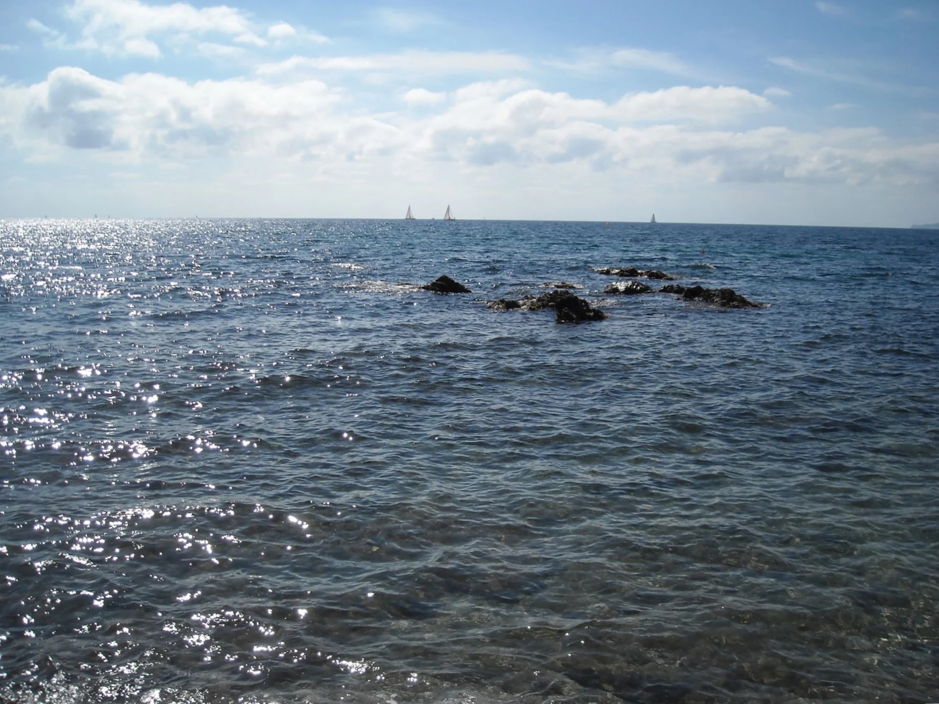 DSCN9799.webp