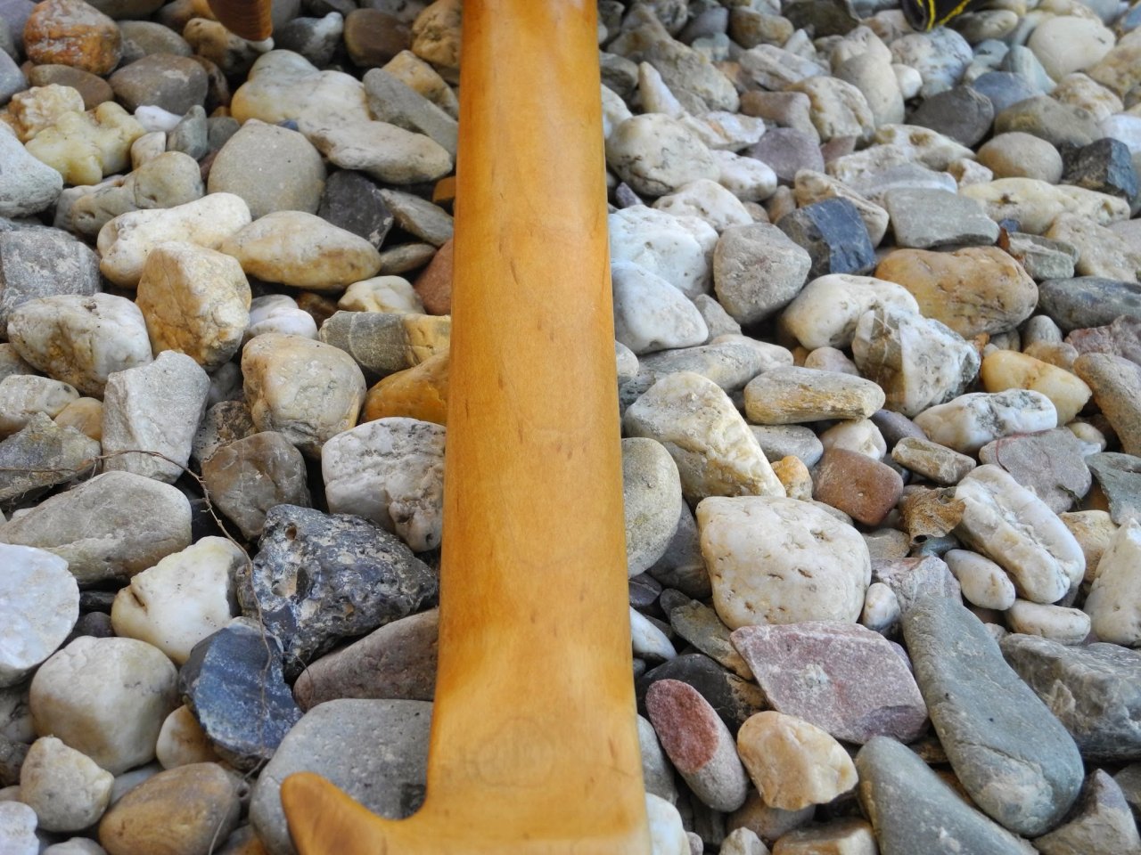 DSCN9876.JPG