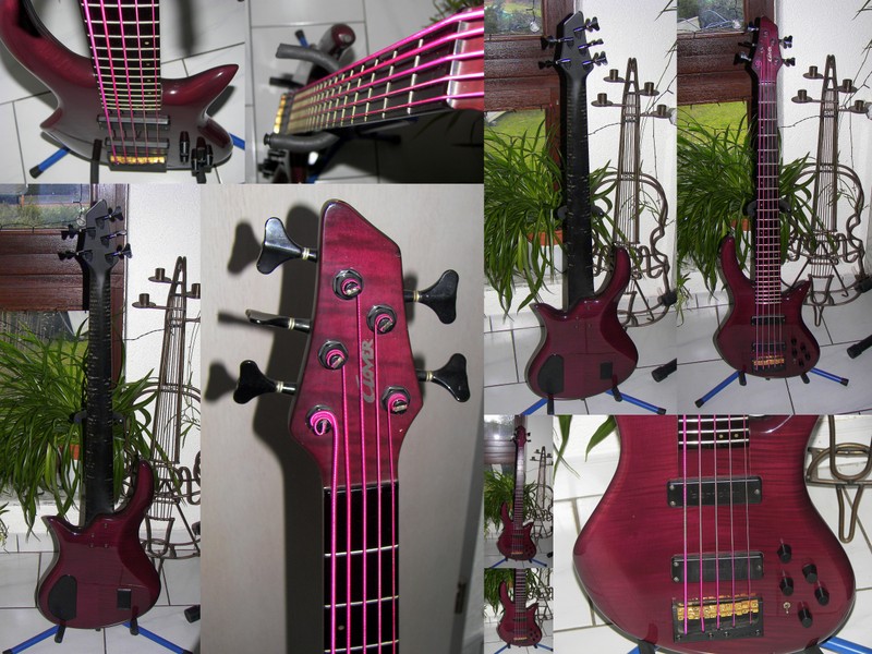 E-Bass - Clover 5-Saiter.JPG