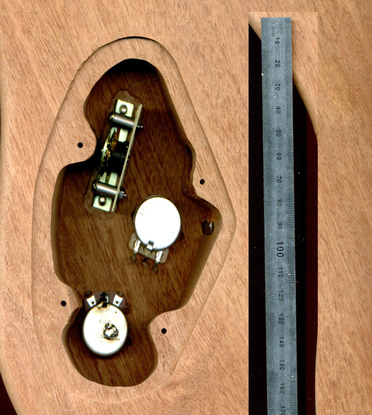 E-Fachscan508.jpg