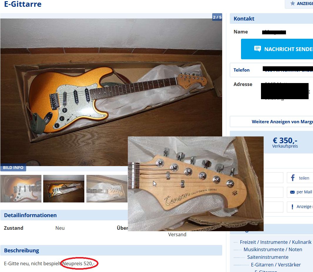 E-Gittarre, € 350,-  - willhaben.jpg