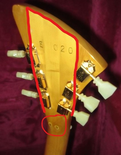 E020 Rep..jpg
