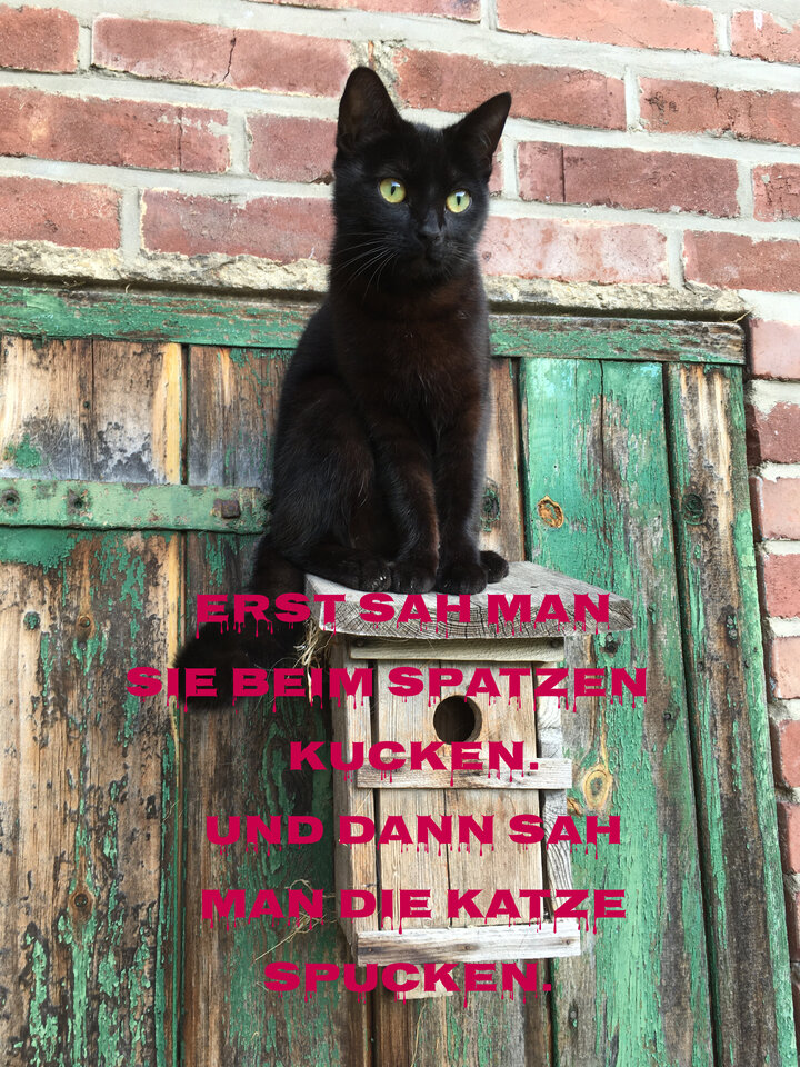 E8AB59E9-4A3C-47A5-A5F3-5D87591D3D10.jpeg