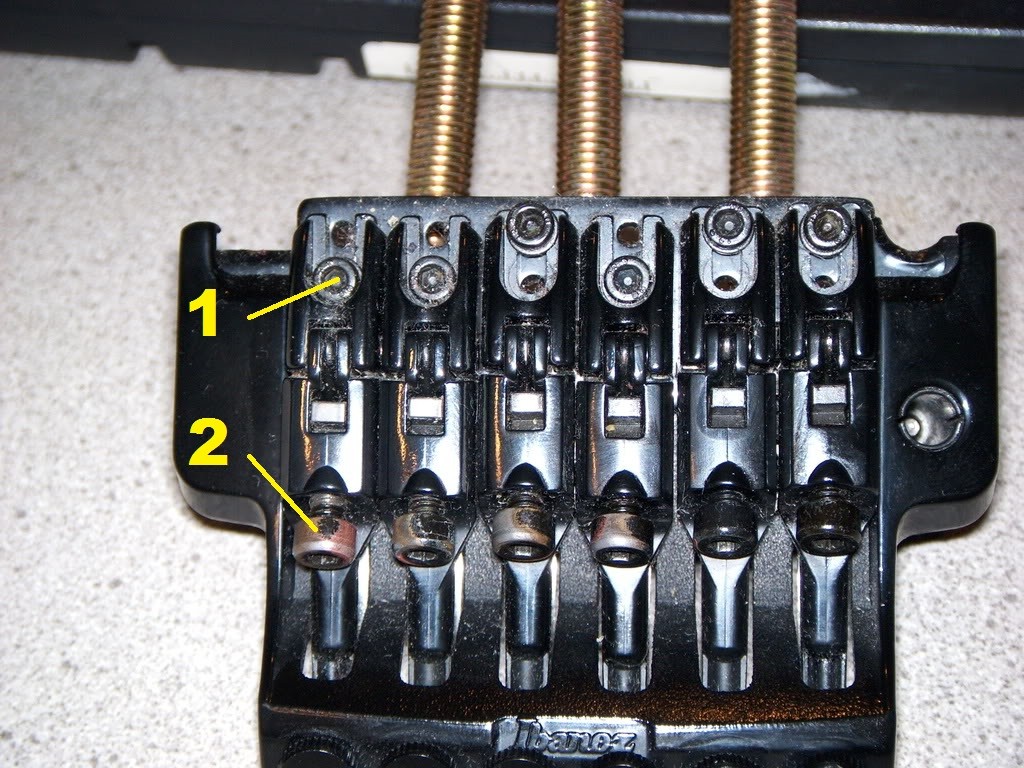 Edge 3.jpg
