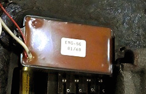 EMG_SG_81_60.jpg