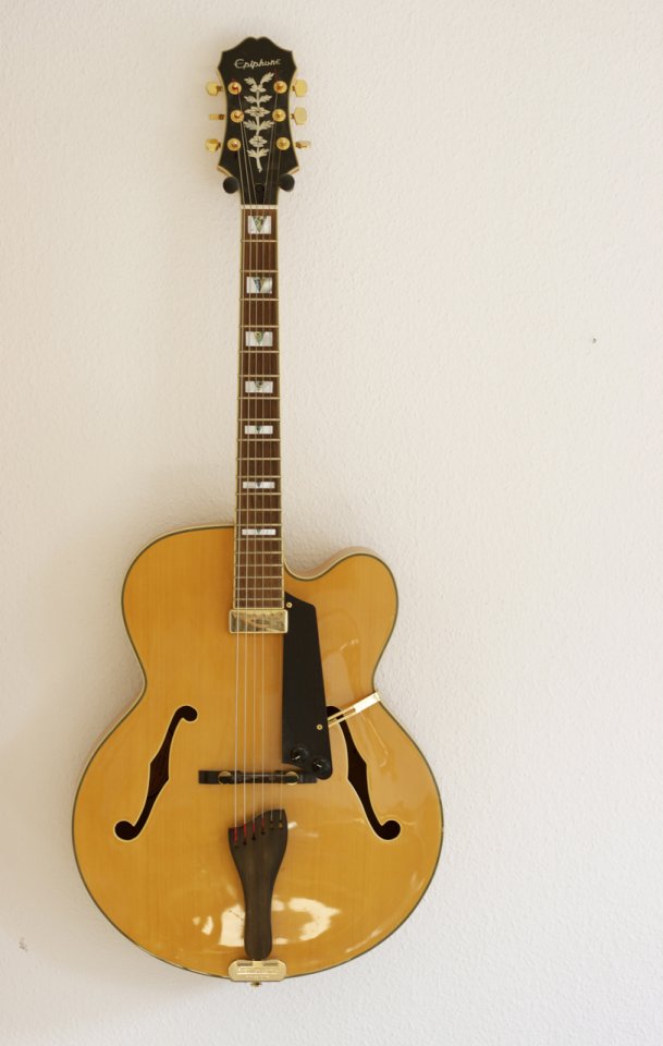 Epiphone Emperor Regent.jpg