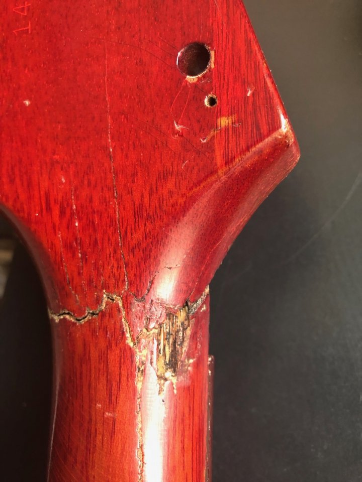 epiphone-wilshire-bruch - 5.jpg