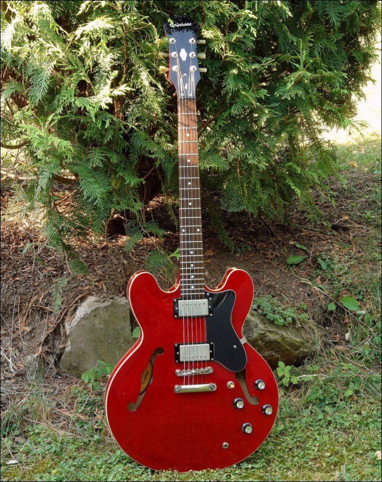 Epiphone_#2.jpg