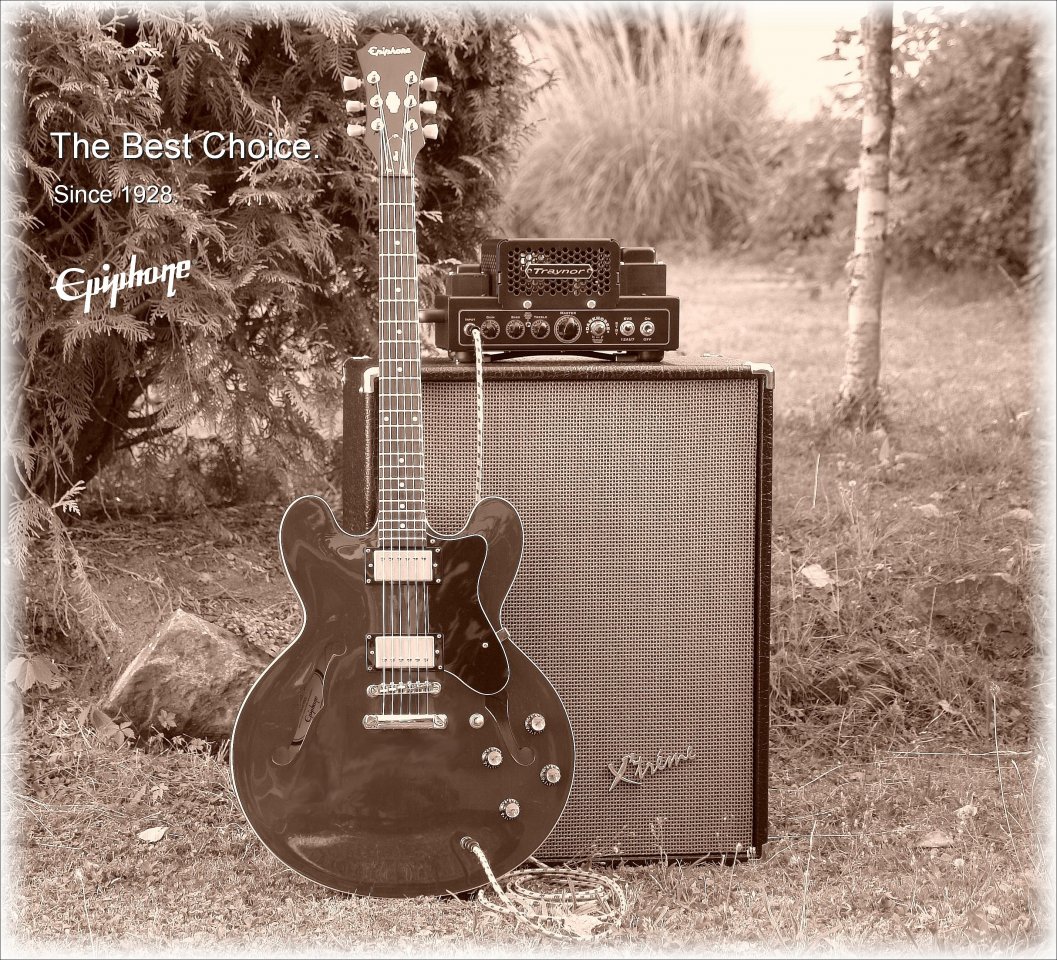 Epiphone_s.jpg