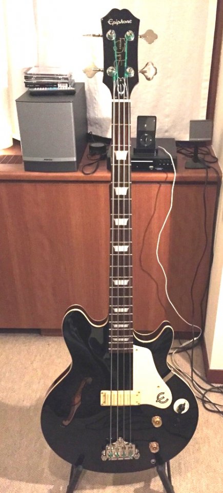 epipone.jpg