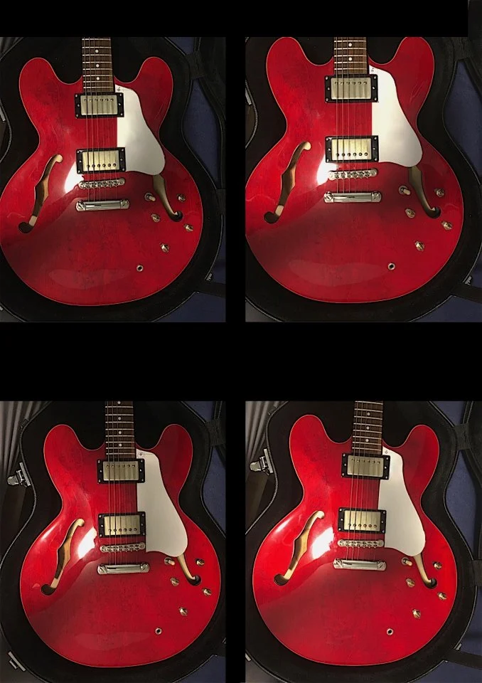 Pickguard Anprobe