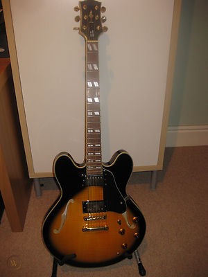 es-335-copy-coxx_360_cba4a05c92063a158c2a355f546fffc5.jpg
