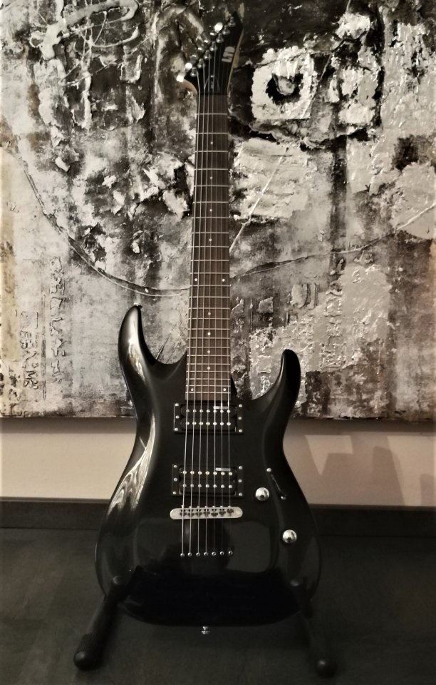 ESP LTD .jpg