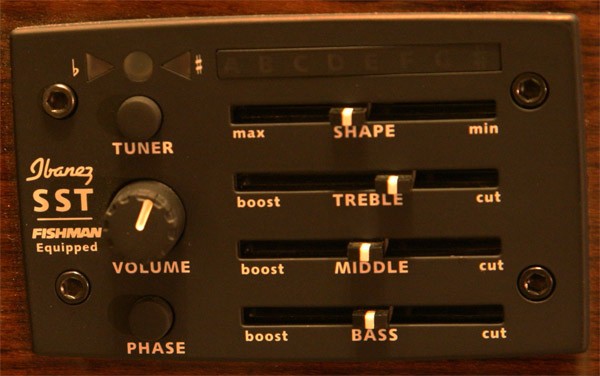 Bass Ibanez EWB20WNE NT Musiker Board