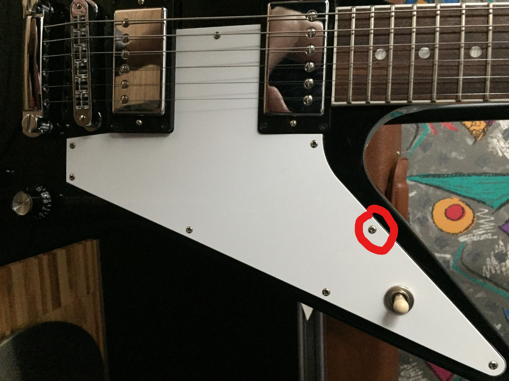 Explorer Pickguard 1.jpg