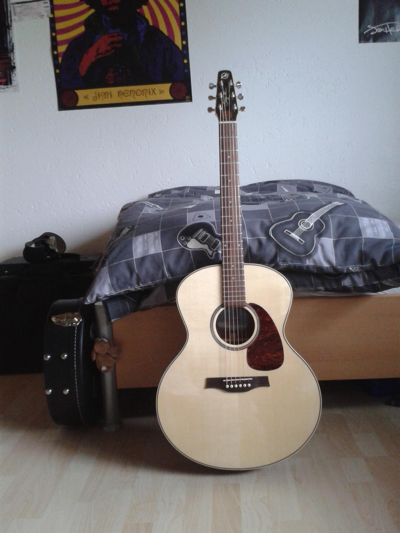 347193d1400344108-gitarren-amps-effekte-kabel-plektren-saiten-pick-ups-mashup-userthread-20140517_182046.jpg