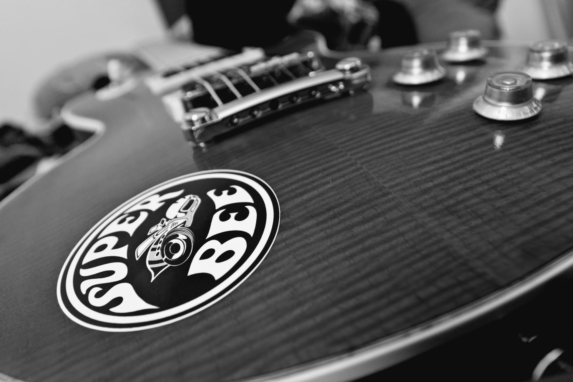 356283d1405431991-zeigt-her-die-makroaufnahmen-eurer-e-gitarren-img_5718bw.jpg