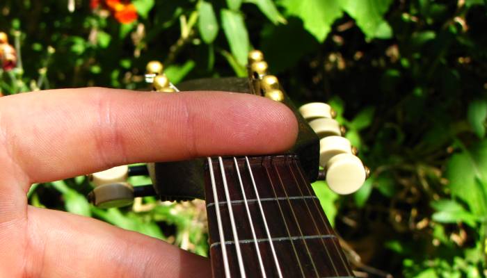 151962d1274913706-zeigt-her-eure-mandolinen-sattelg.jpg