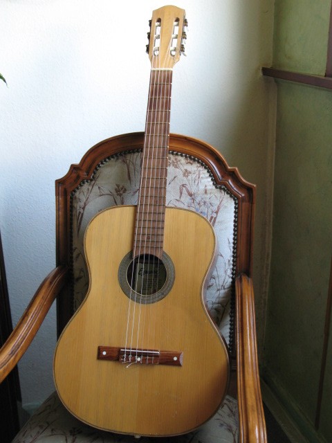 180733d1304277909-bilder-euren-akustikgitarren-egmond1.jpg