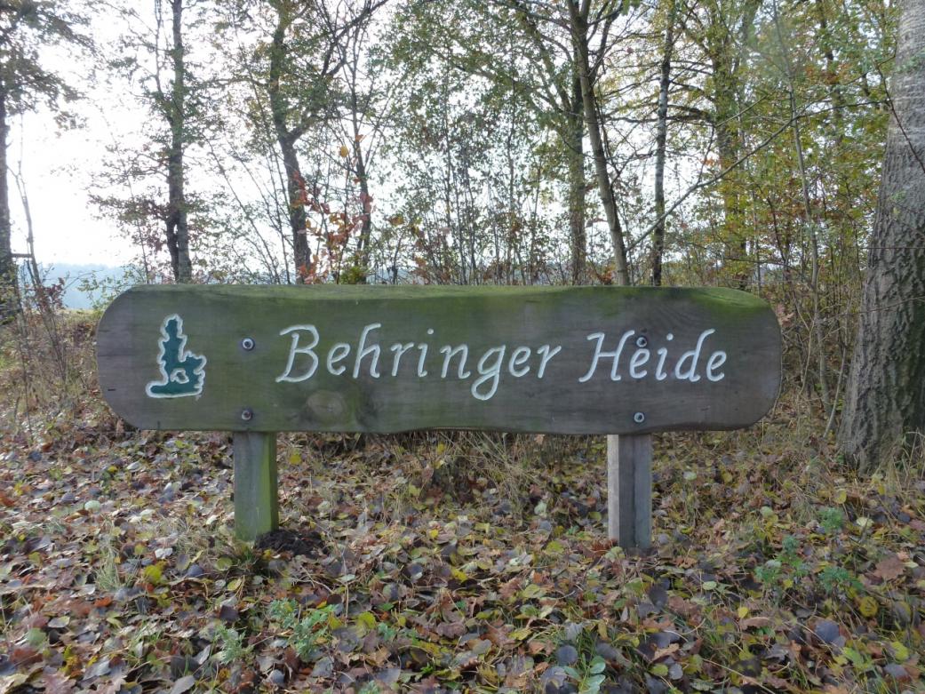 245192d1352557365-fragen-uli-behringer-behringer_heide_klein.jpg