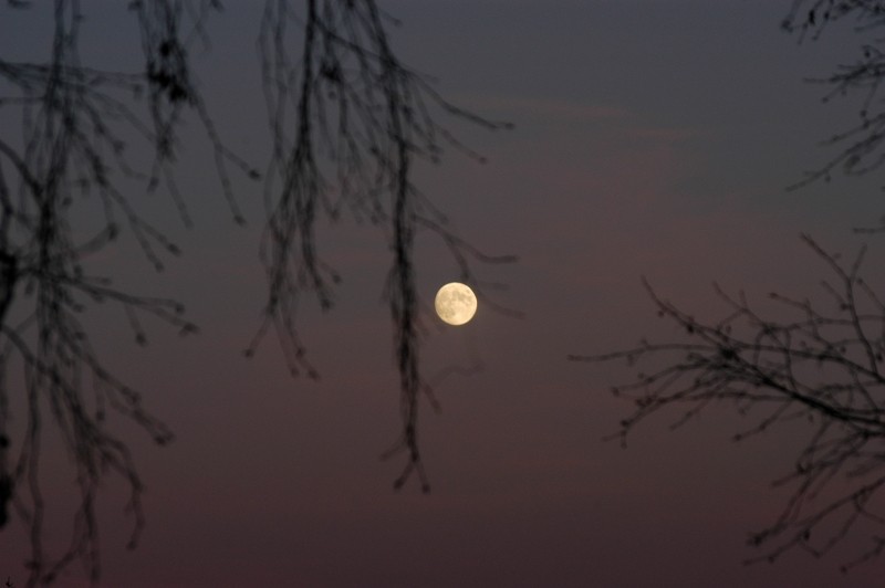 141307d1266965050-fotografie-thread-mond.jpg