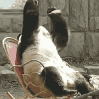 facepalm2.gif