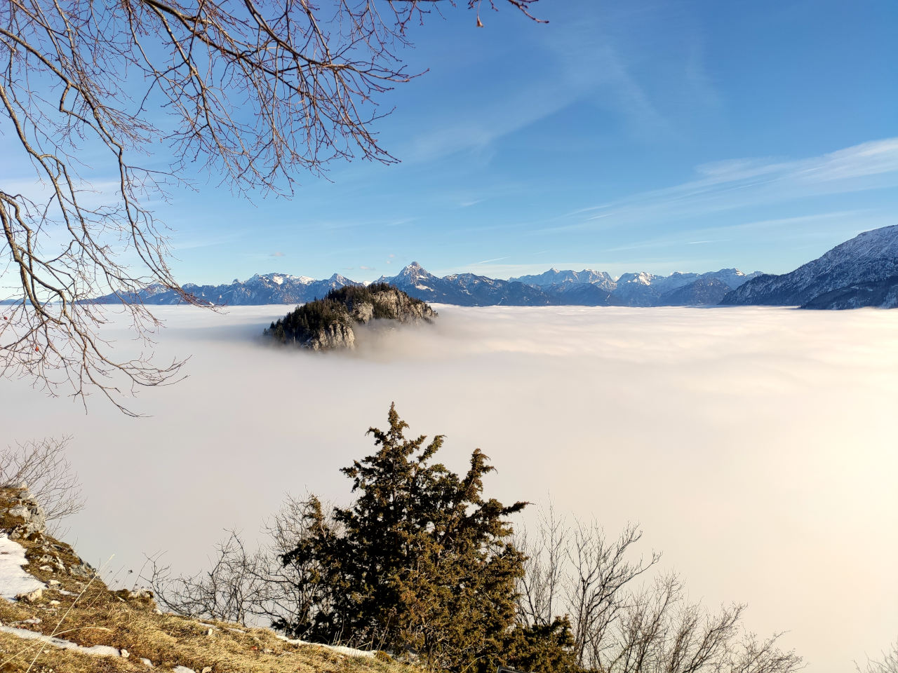 Falkenstein.jpg