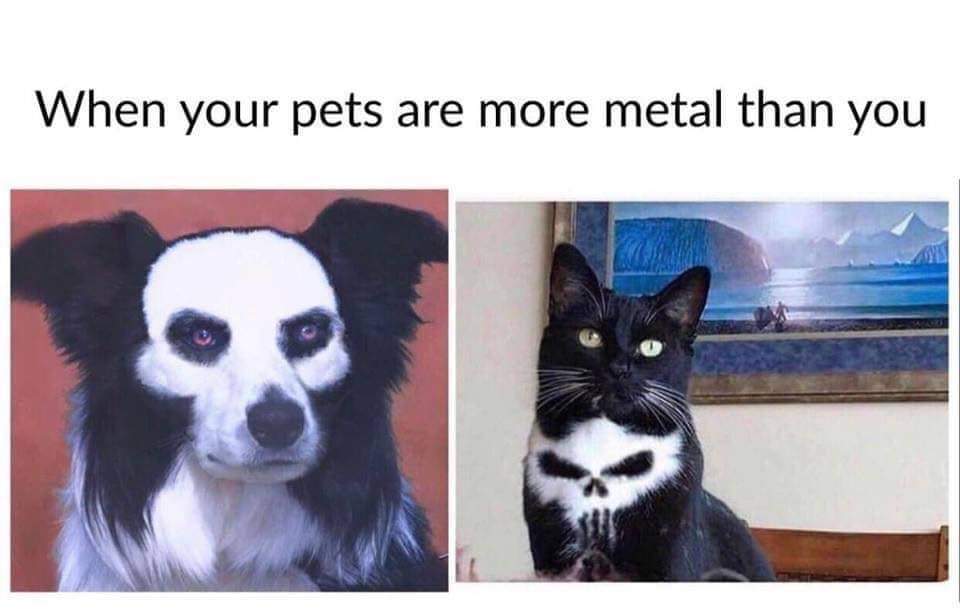 FB_IMG_1556479233052.jpg
