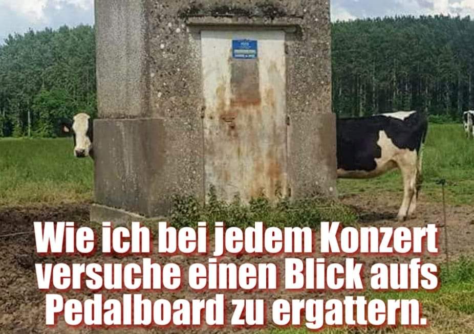 FB_IMG_1582059216645.jpg
