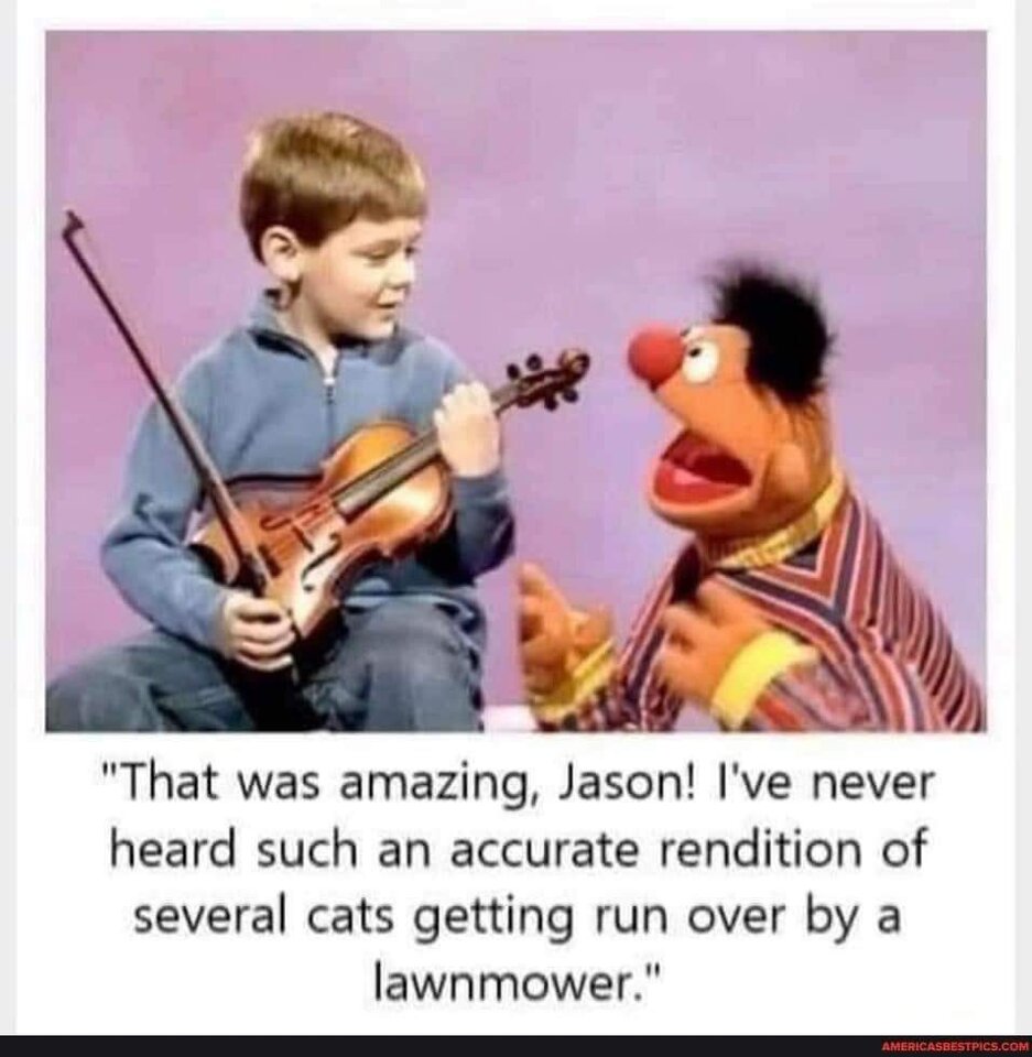 FB_IMG_1659126769177.jpg