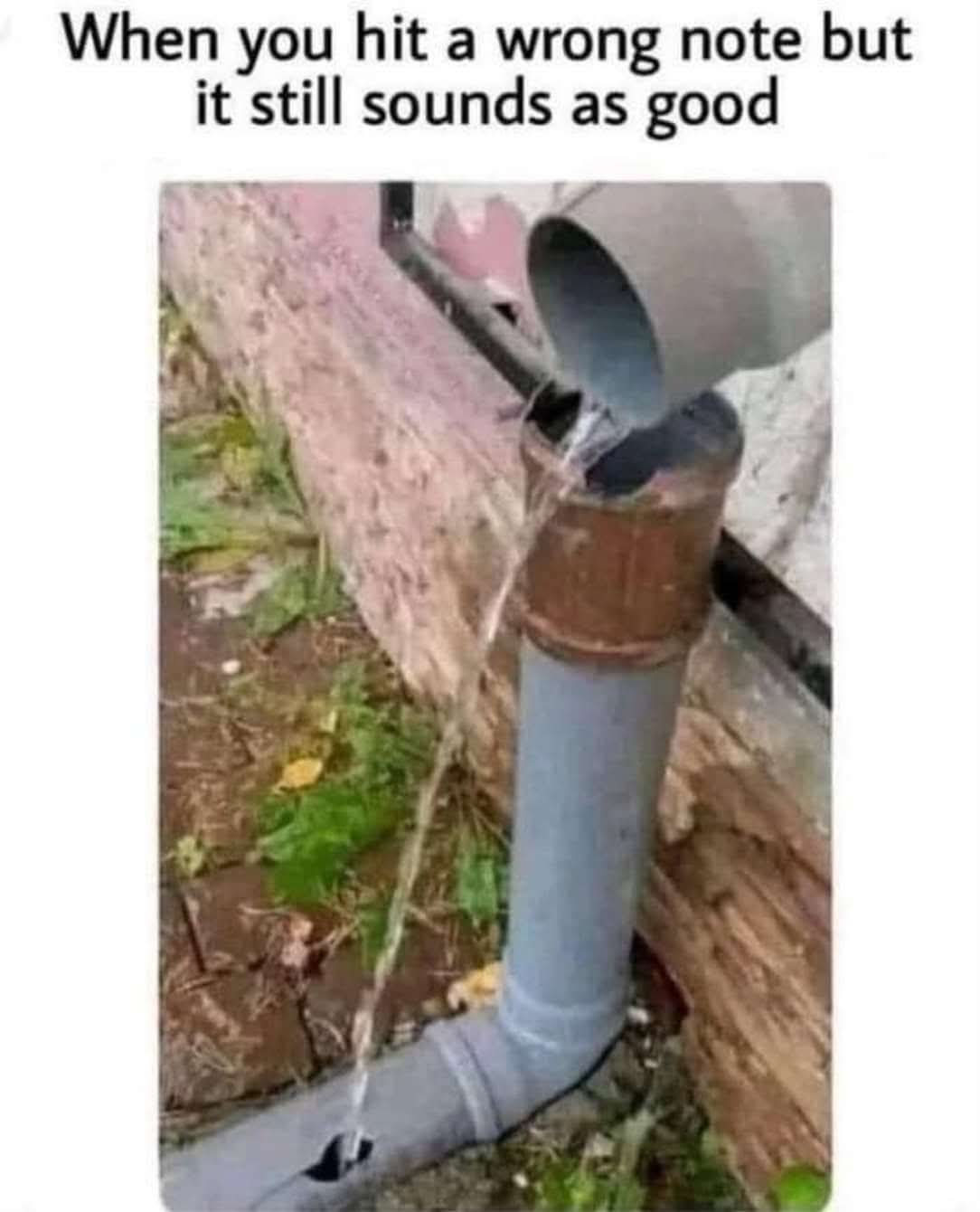 FB_IMG_1748699507525.jpg