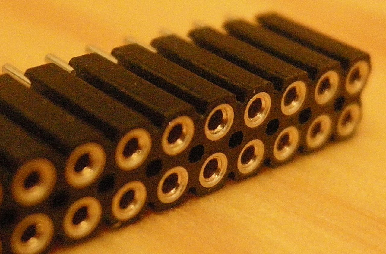 Female3Zoom.jpg