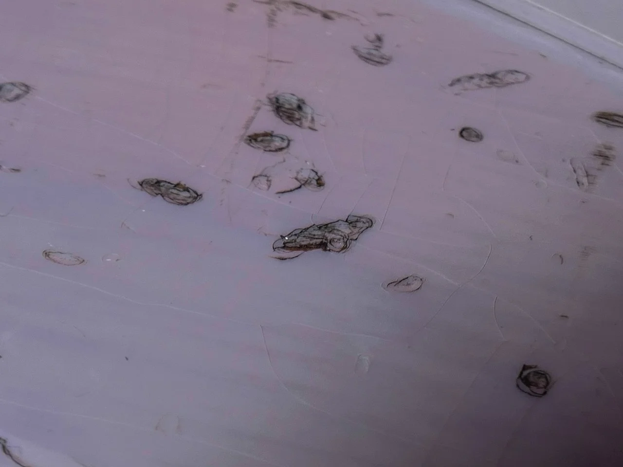 Fender CS '56 Strat (13 von 17).webp