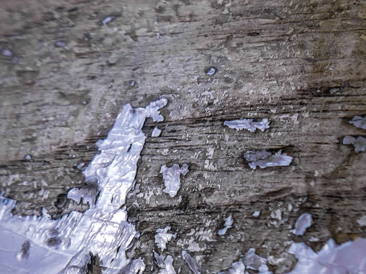 Fender CS '56 Strat (15 von 17).webp