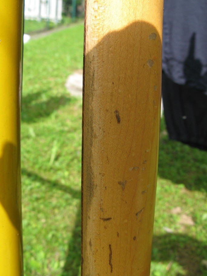Fender Musicmaster 028_K.jpg